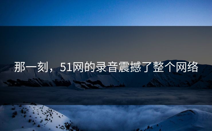 那一刻，51网的录音震撼了整个网络