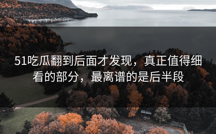 51吃瓜翻到后面才发现，真正值得细看的部分，最离谱的是后半段